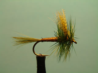 Quill Olive (12-16)